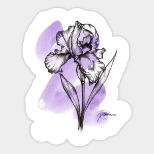 Iris Sticker